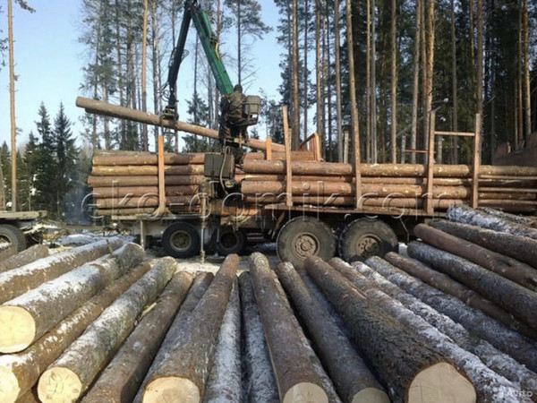 Заготовка леса